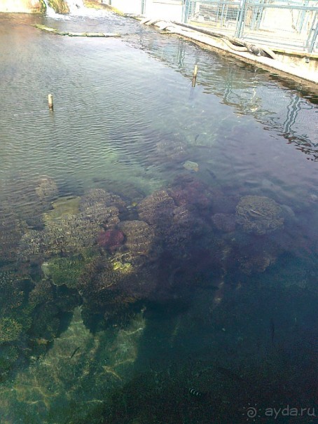 фото Comfort Hotel Eilat