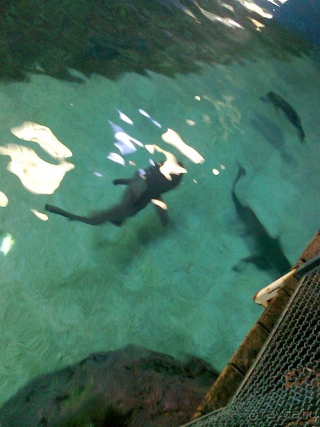 фото Comfort Hotel Eilat