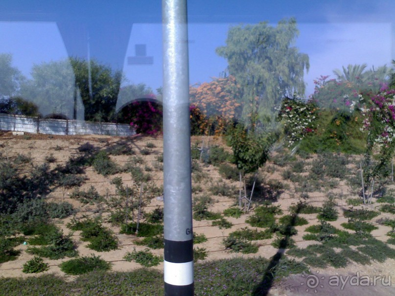 фото Comfort Hotel Eilat