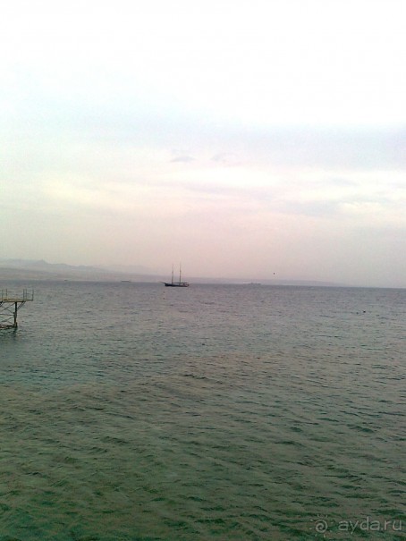 фото Comfort Hotel Eilat