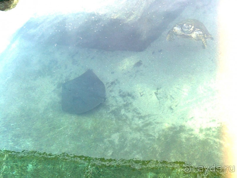 фото Comfort Hotel Eilat