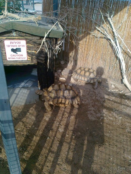 фото Comfort Hotel Eilat