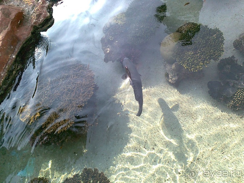 фото Comfort Hotel Eilat