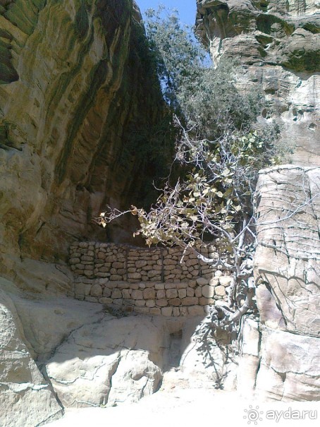 ПЕТРА    " MEMENTO MORTIS"