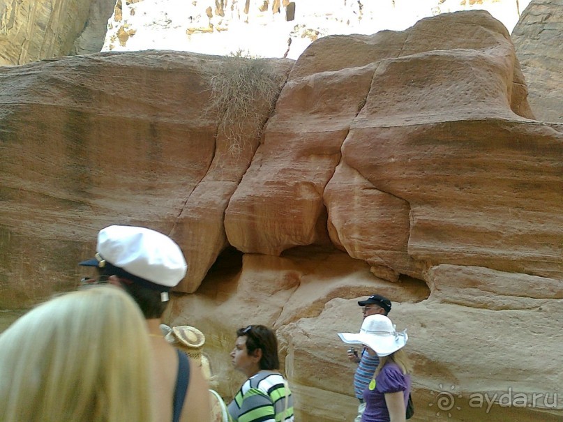 ПЕТРА    " MEMENTO MORTIS"