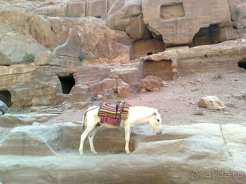 ПЕТРА    " MEMENTO MORTIS"