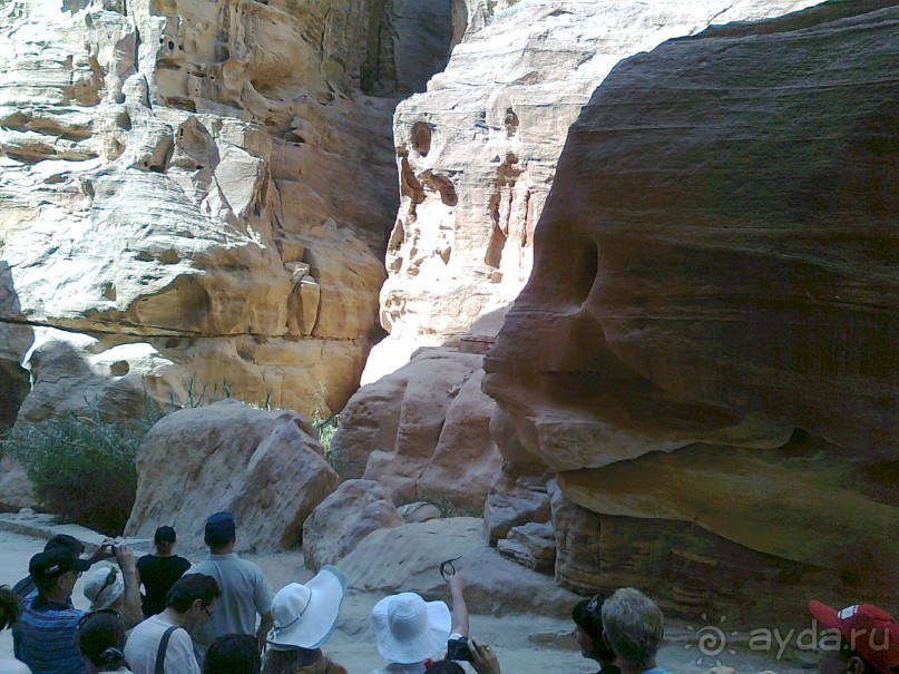 ПЕТРА    " MEMENTO MORTIS"