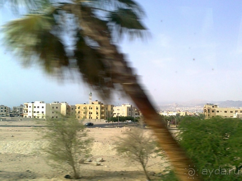 ПЕТРА    " MEMENTO MORTIS"