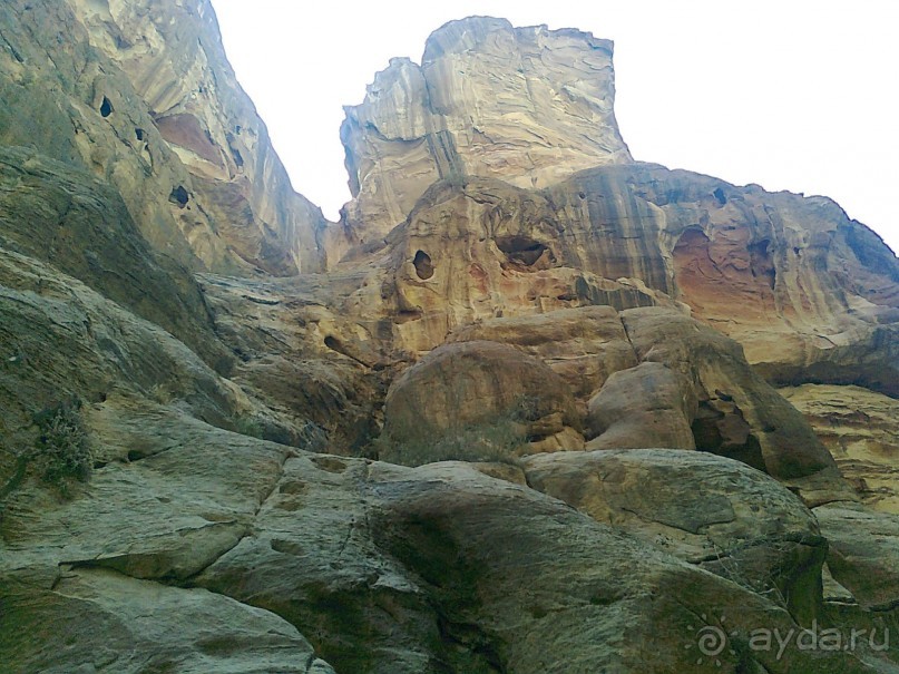 ПЕТРА    " MEMENTO MORTIS"