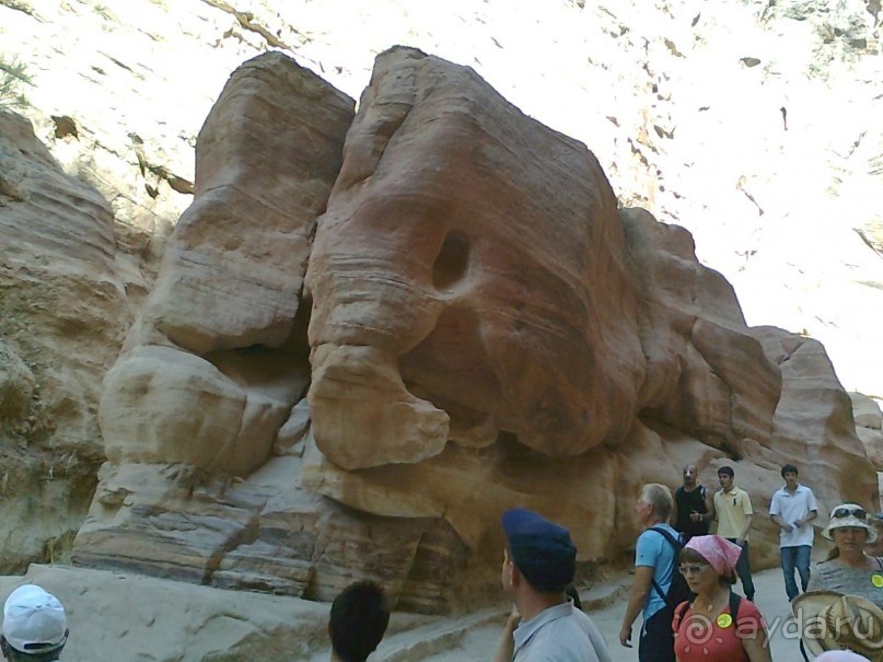 ПЕТРА    " MEMENTO MORTIS"