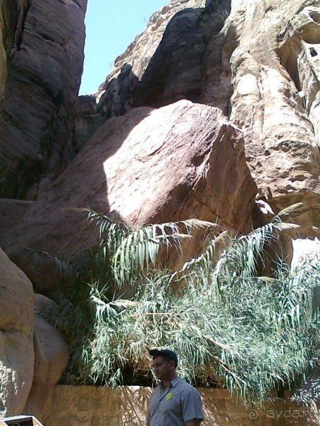 ПЕТРА    " MEMENTO MORTIS"