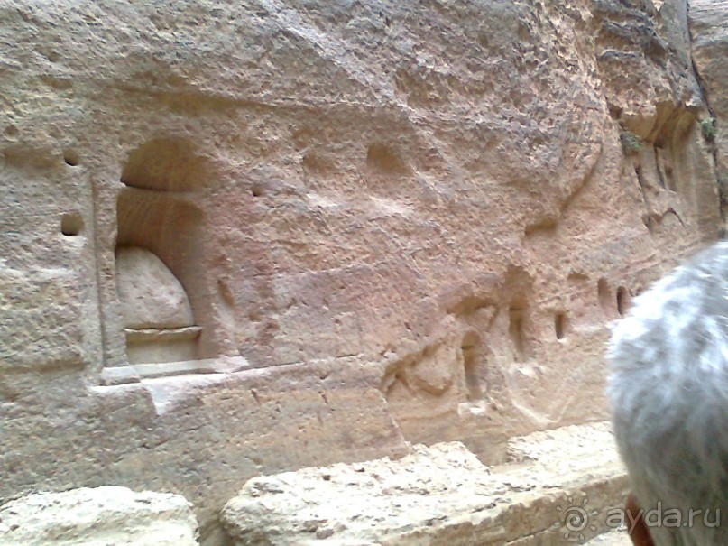 ПЕТРА    " MEMENTO MORTIS"