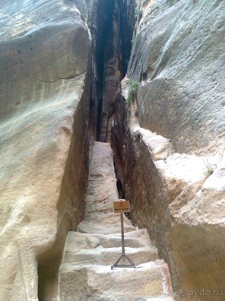 ПЕТРА    " MEMENTO MORTIS"