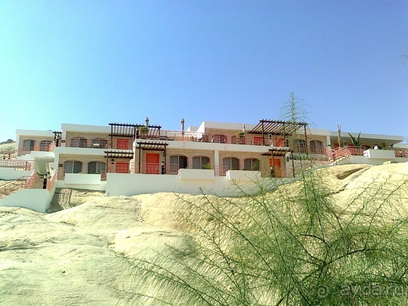 ПЕТРА    " MEMENTO MORTIS"