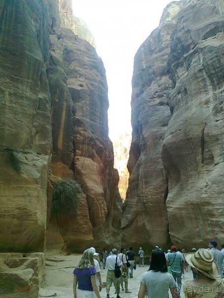 ПЕТРА    " MEMENTO MORTIS"