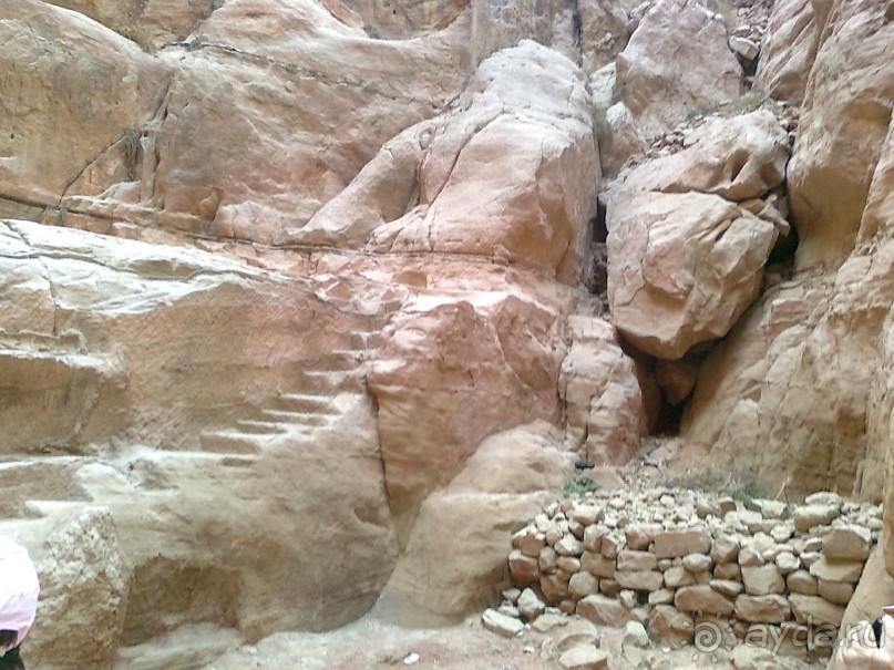 ПЕТРА    " MEMENTO MORTIS"