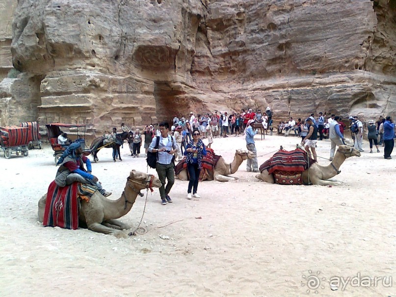 ПЕТРА    " MEMENTO MORTIS"