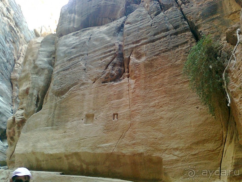 ПЕТРА    " MEMENTO MORTIS"