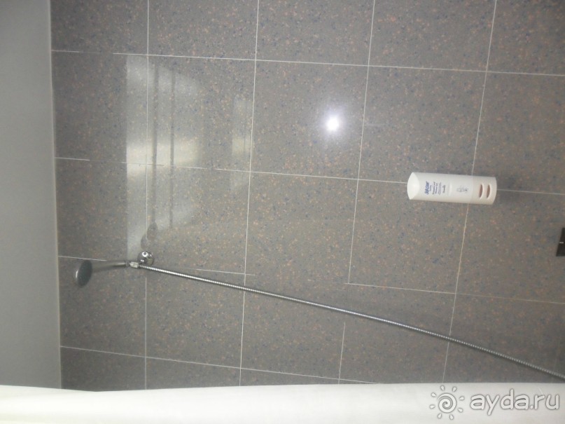 фото Theartemis Palace