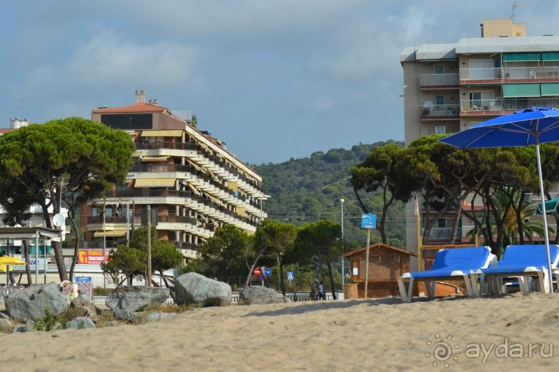 фото Dar Morjane