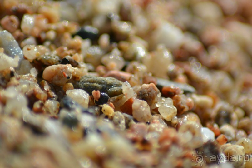 фото Dar Morjane