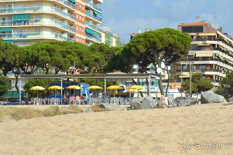 фото Dar Morjane