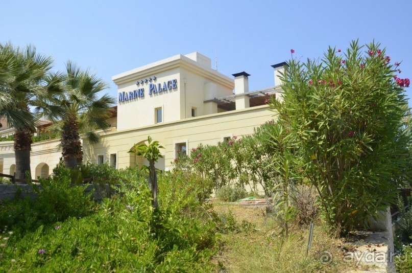 фото Iberostar Tabarka Beach