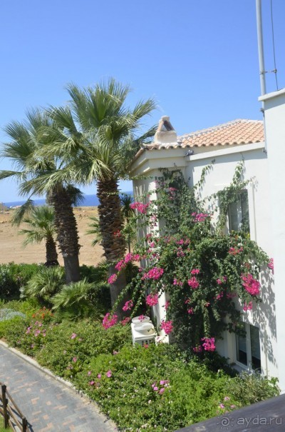 фото Iberostar Tabarka Beach