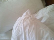 денег жалко!