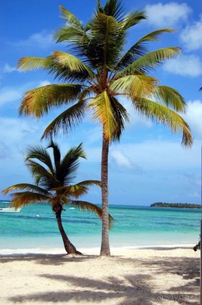 фото Barcelo Bavaro Beach