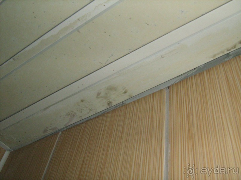 КОШМАР заграничной Турции