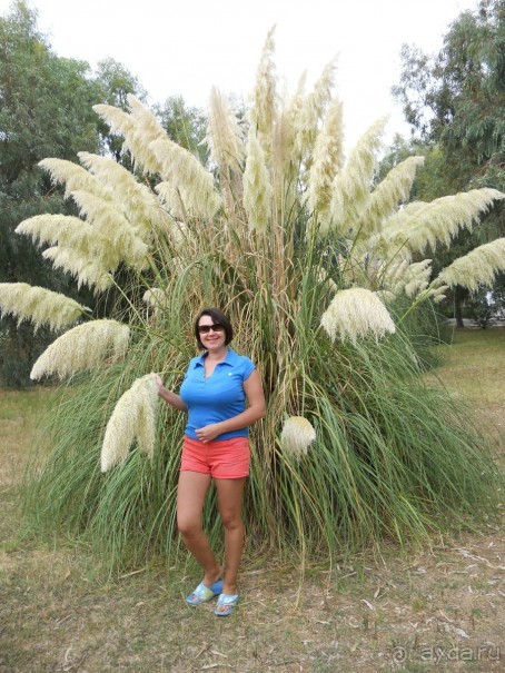 Эх, погода подвела!(