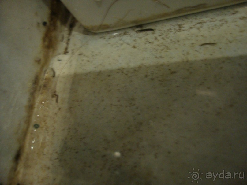 фото Mirage Park Resort