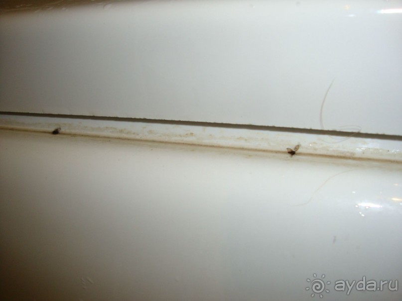 фото Mirage Park Resort