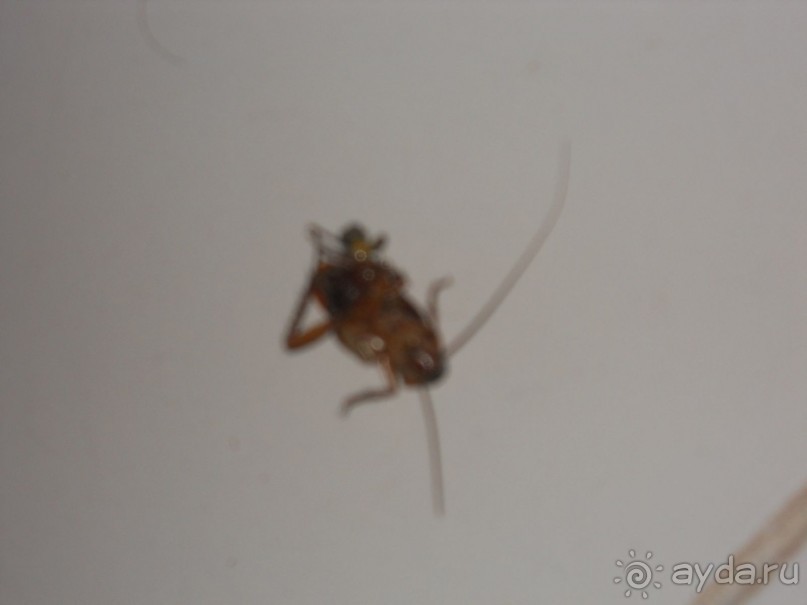 Ужасный отдых