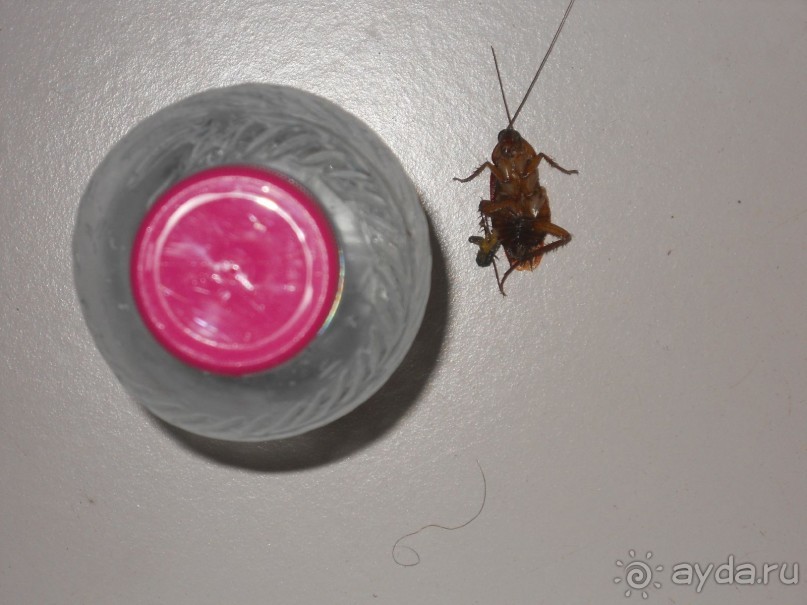 Ужасный отдых