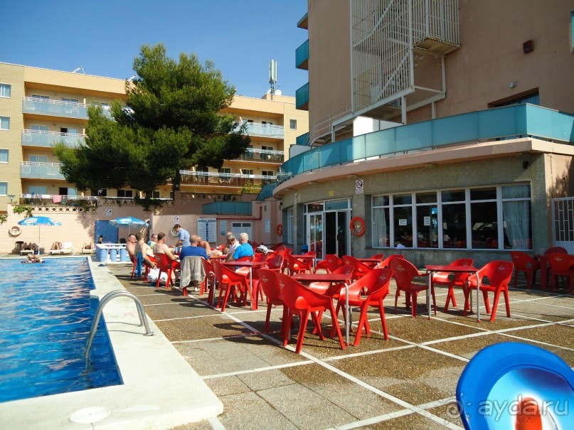 фото Mehari Hammamet (Golden Yasmin Mehari)