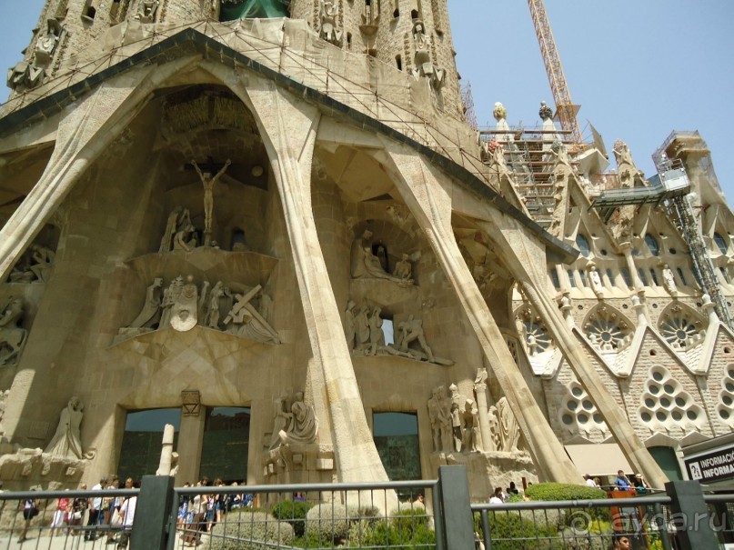 фото Mehari Hammamet (Golden Yasmin Mehari)