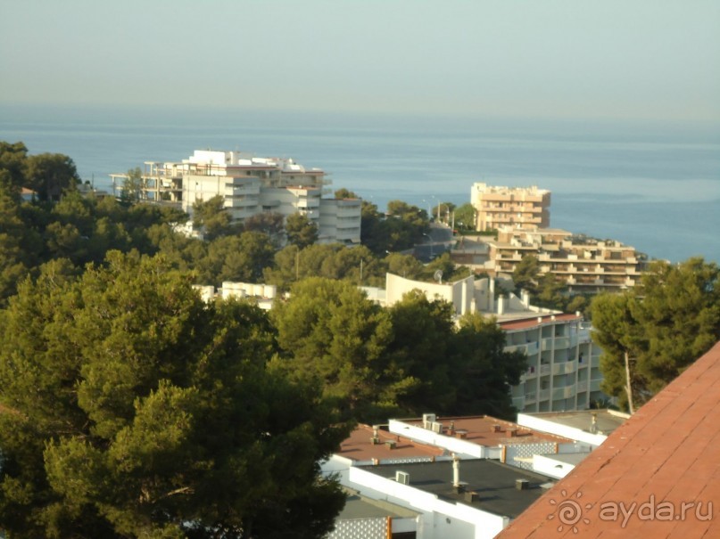 фото Mehari Hammamet (Golden Yasmin Mehari)