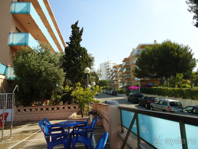 фото Mehari Hammamet (Golden Yasmin Mehari)