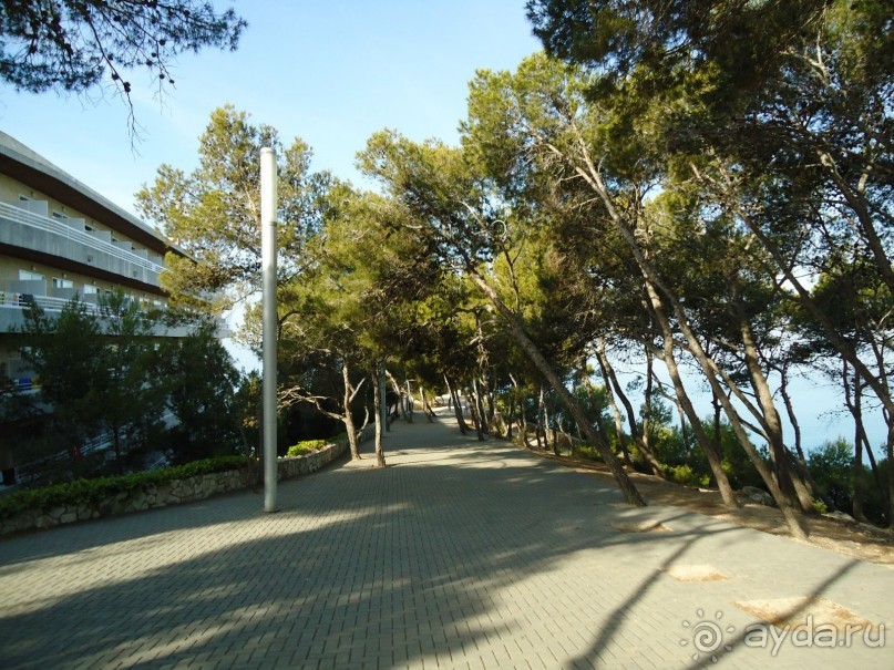 фото Mehari Hammamet (Golden Yasmin Mehari)