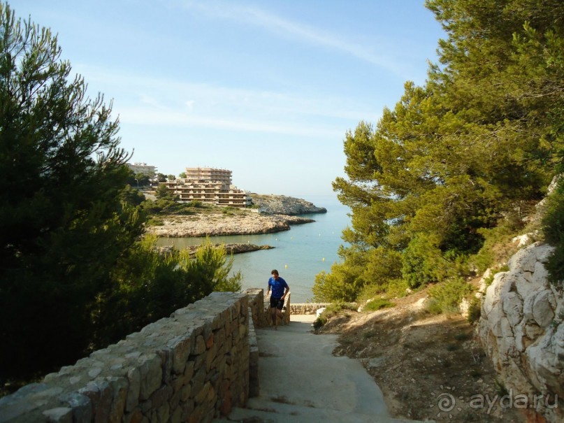 фото Mehari Hammamet (Golden Yasmin Mehari)