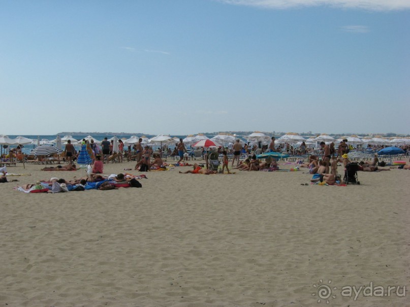 фото Кондор (Condor)