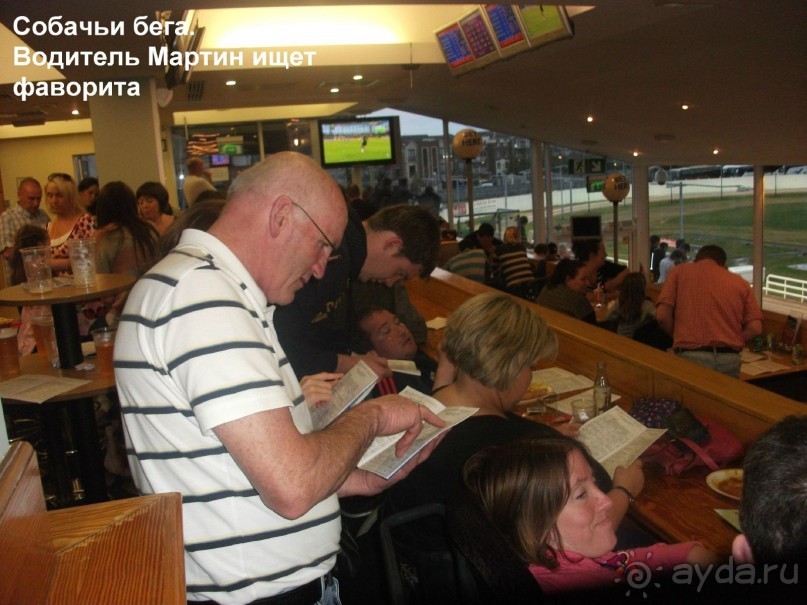 Ирландское рагу