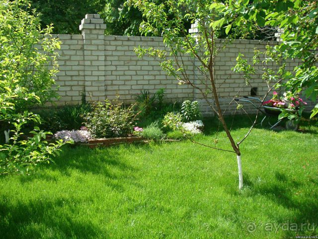 фото Южный Дворик