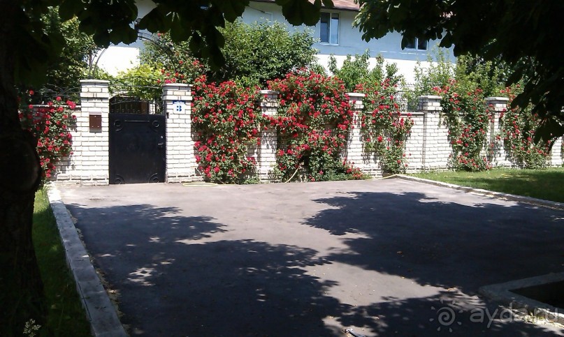 фото Южный Дворик