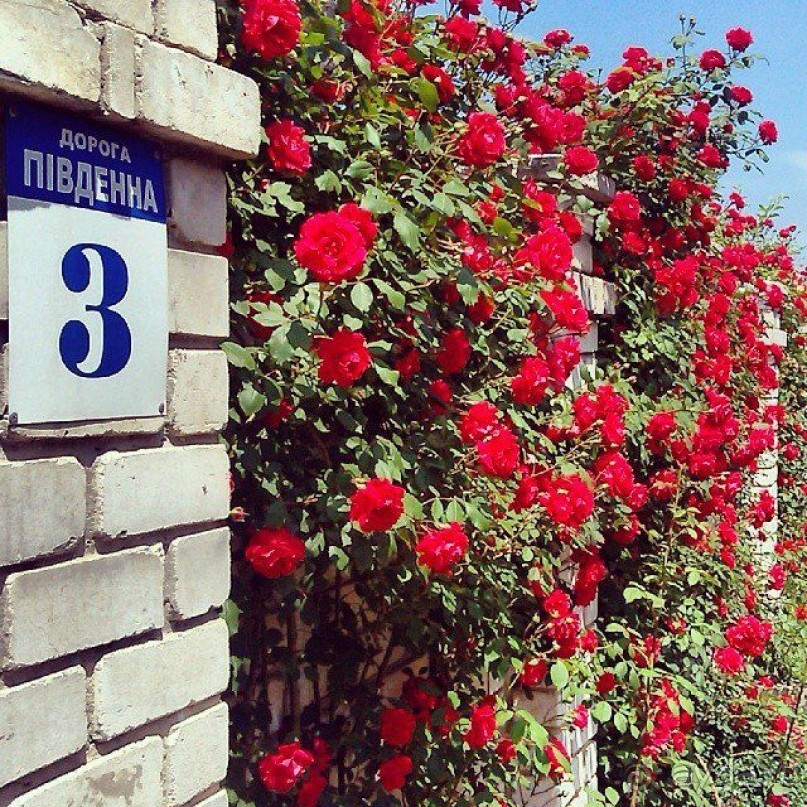 фото Южный Дворик