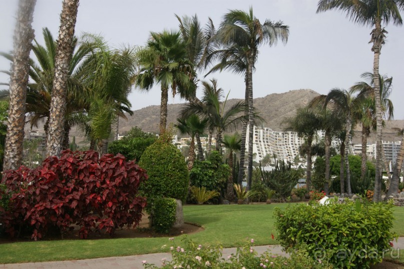 Остров Гран Канария