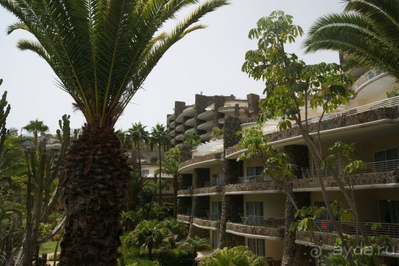 Альбом рассказа "Остров Гран Канария"