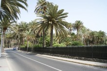 Остров Гран Канария